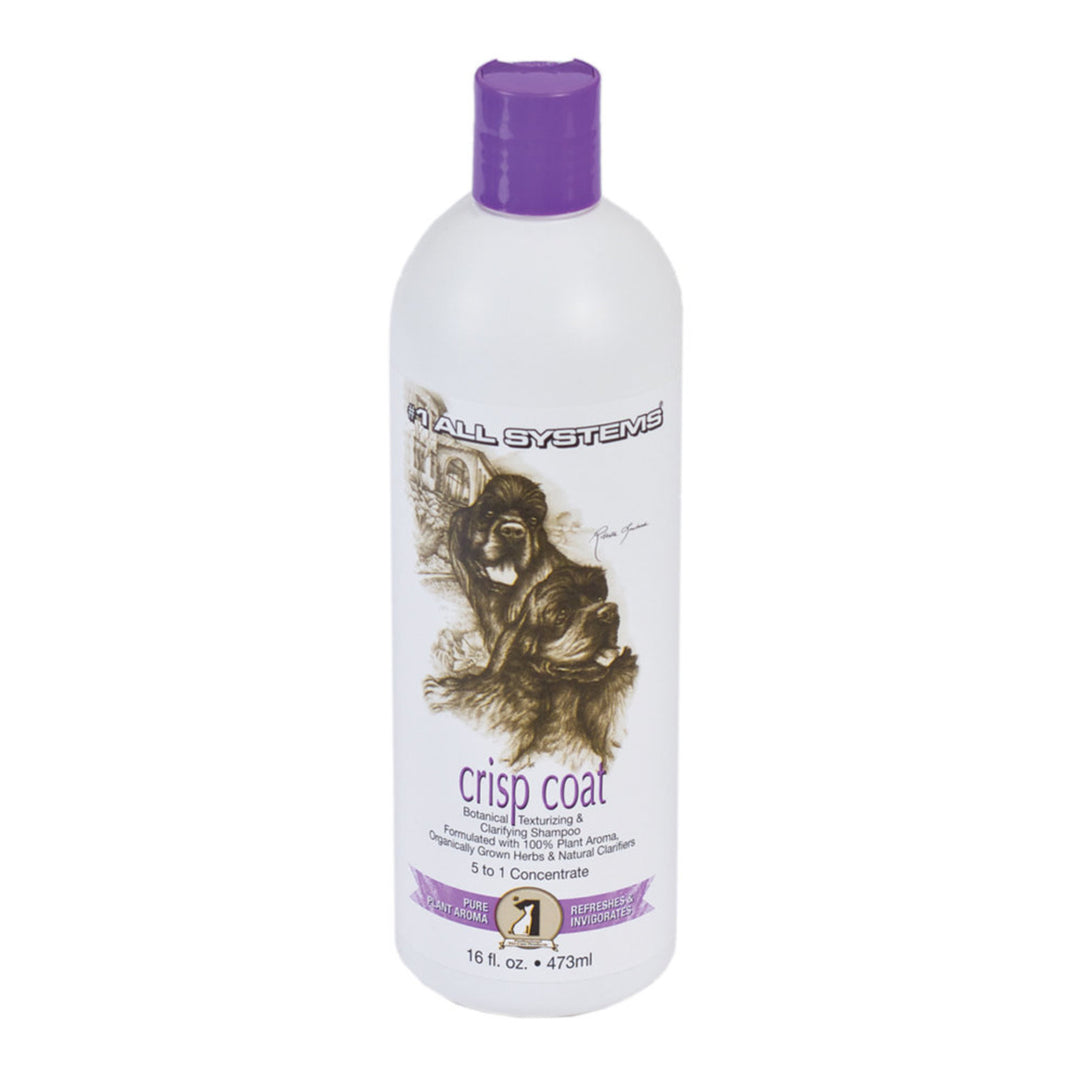 #1 ALL SYSTEM CRISP COAT TEXTURIZING SHAMPOO