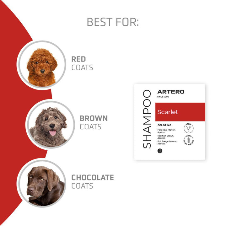 ARTERO SCARLET RED SHAMPOO