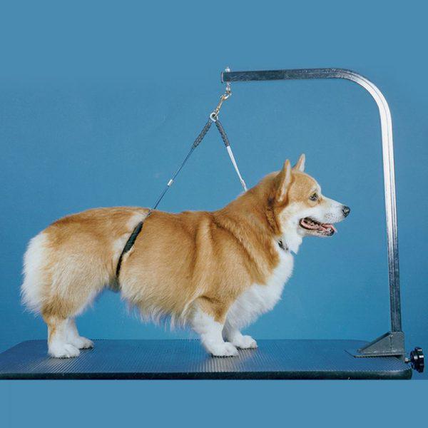 PROGUARD NO-SIT HAUNCH HOLDER REGULAR (DOBLE)