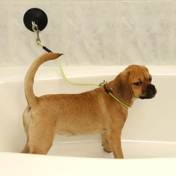 PROGUARD INDUSTRIAL SUCTION CUP