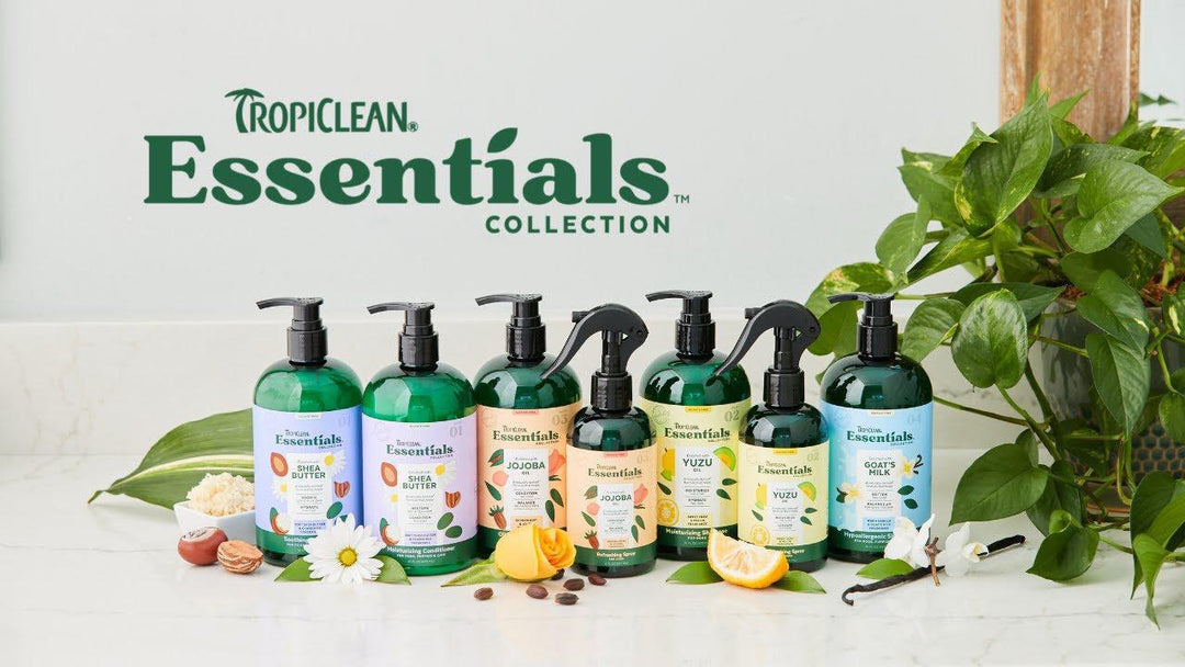 TC ESSENTIALS COLLECTION DISPLAY 23pcs
