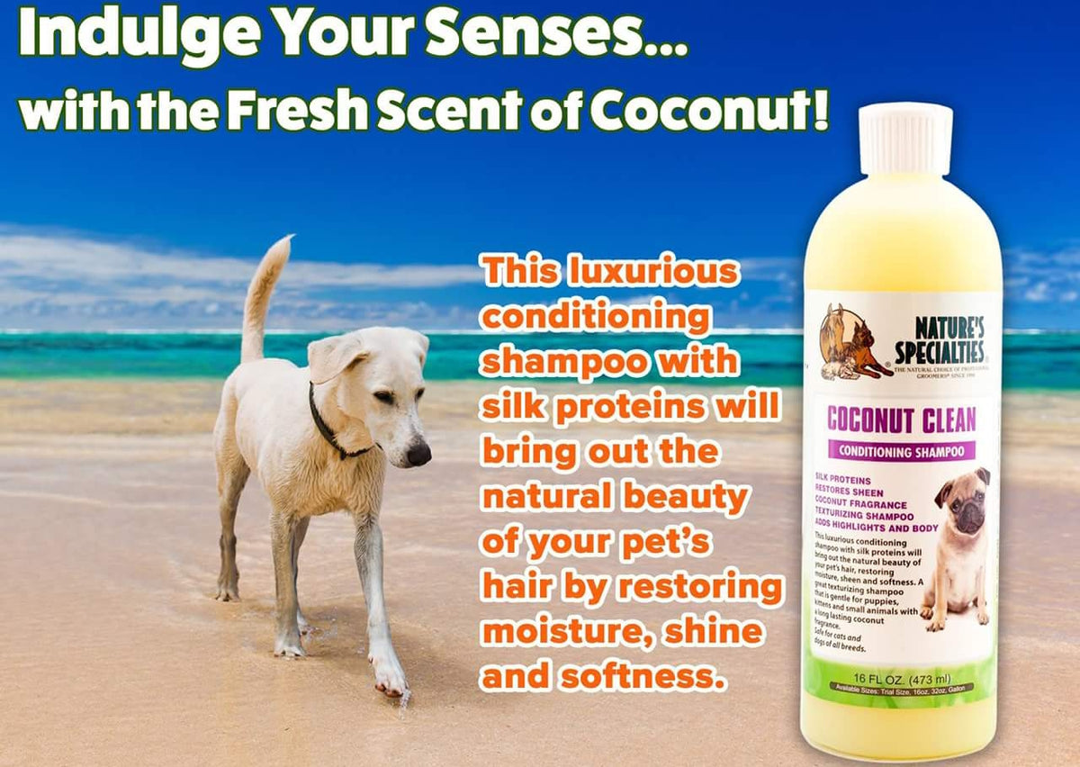 Coconut Clean Texturizing Shampoo for Dogs and Cats