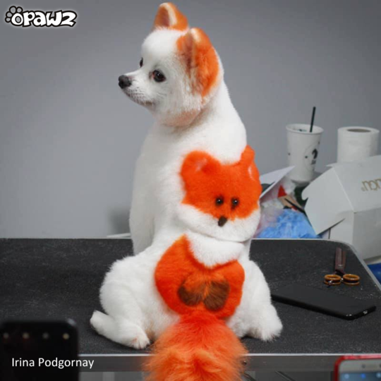 Pet Paint Old Dog Orange Colored Fur Spray 5 oz
