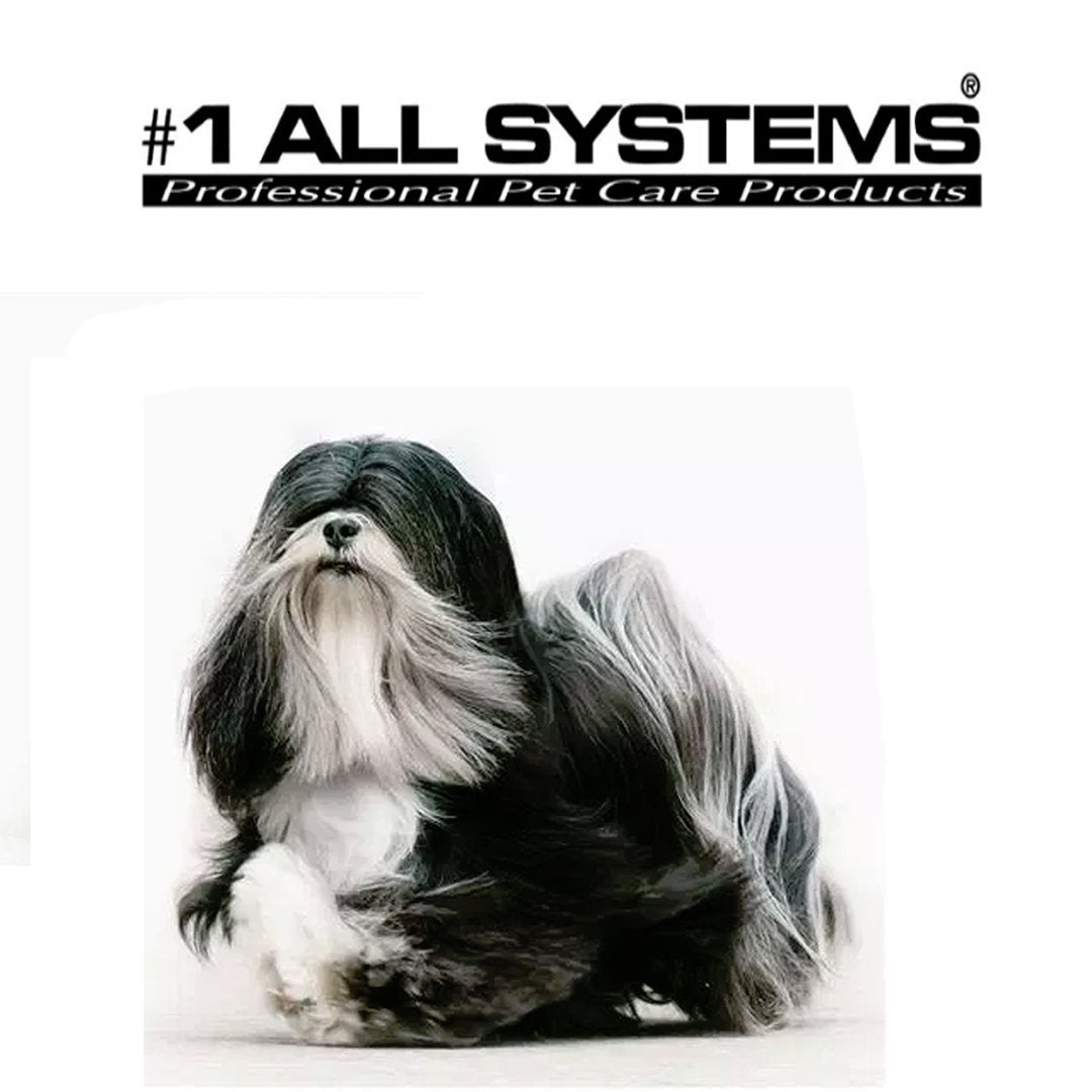 #1 All Systems