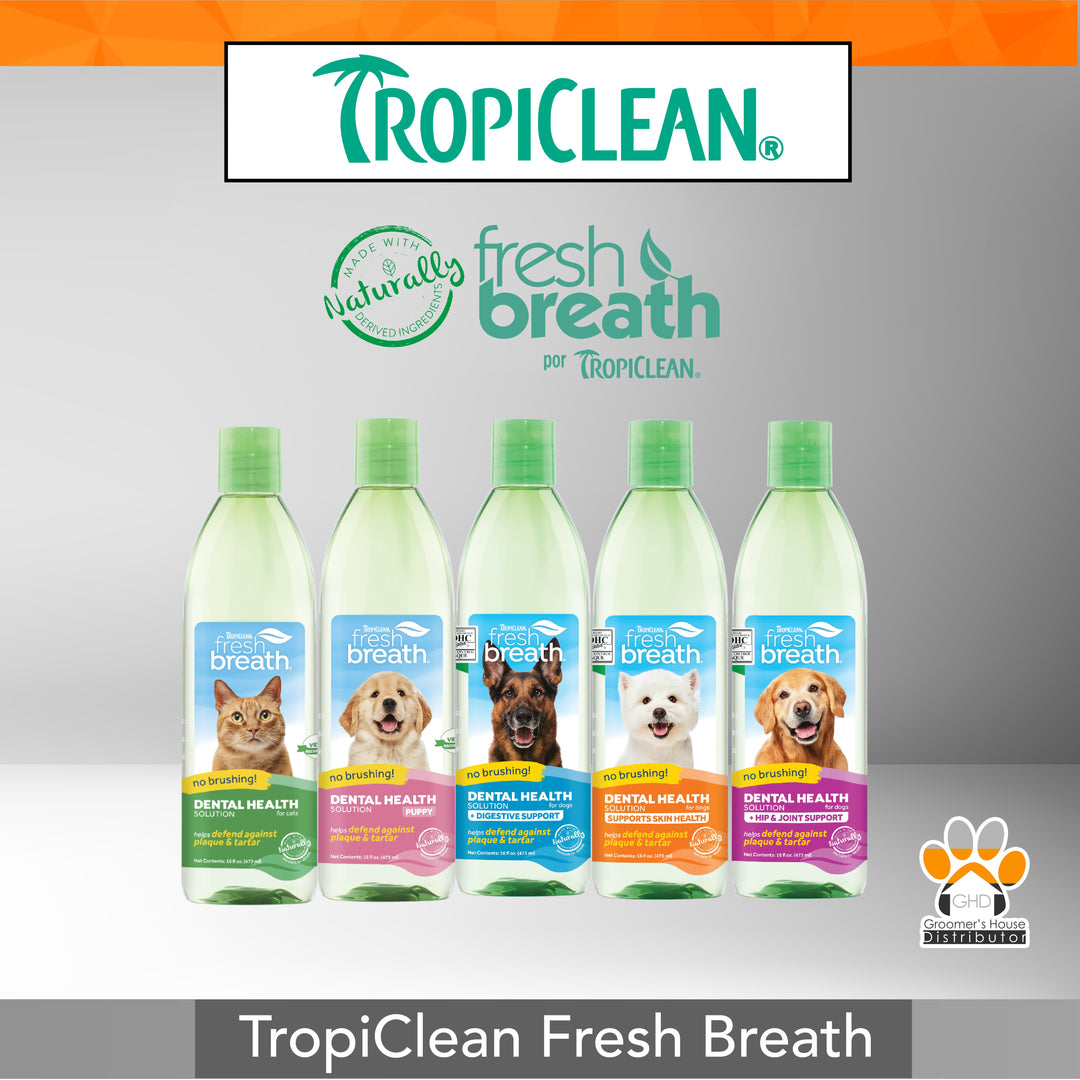 TropiClean Fresh Breath Dental