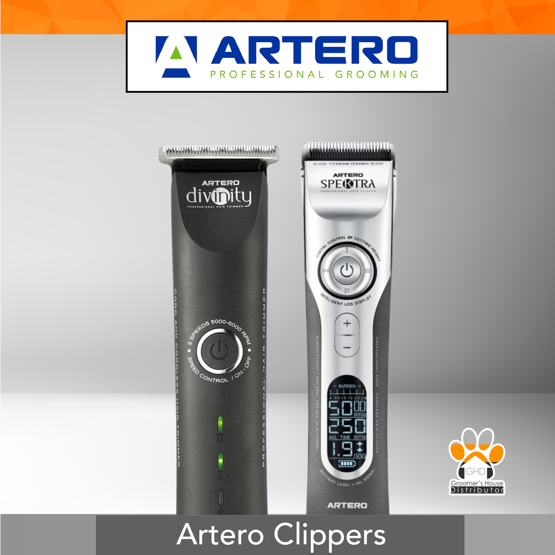 Artero Clippers
