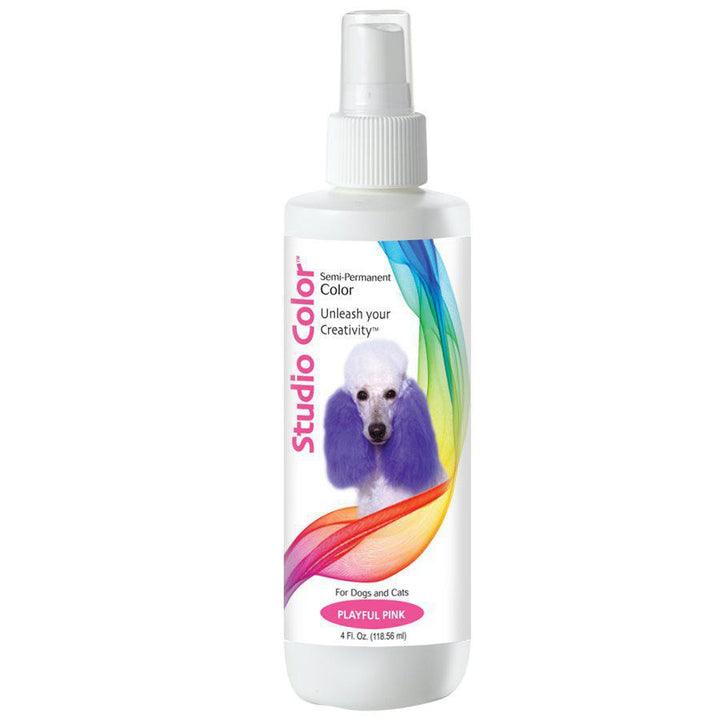 DAVIS STUDIO COLOR SPRAY 4oz