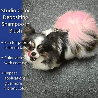 DAVIS STUDIO COLOR DEPOSITING SHAMPOO