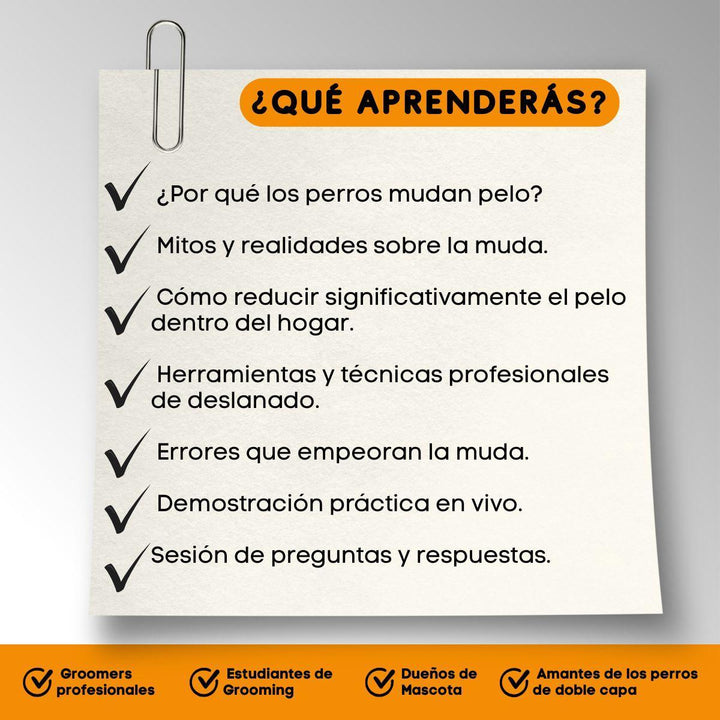 GHD SEMINARIO CONTROL DE LA MUDA
