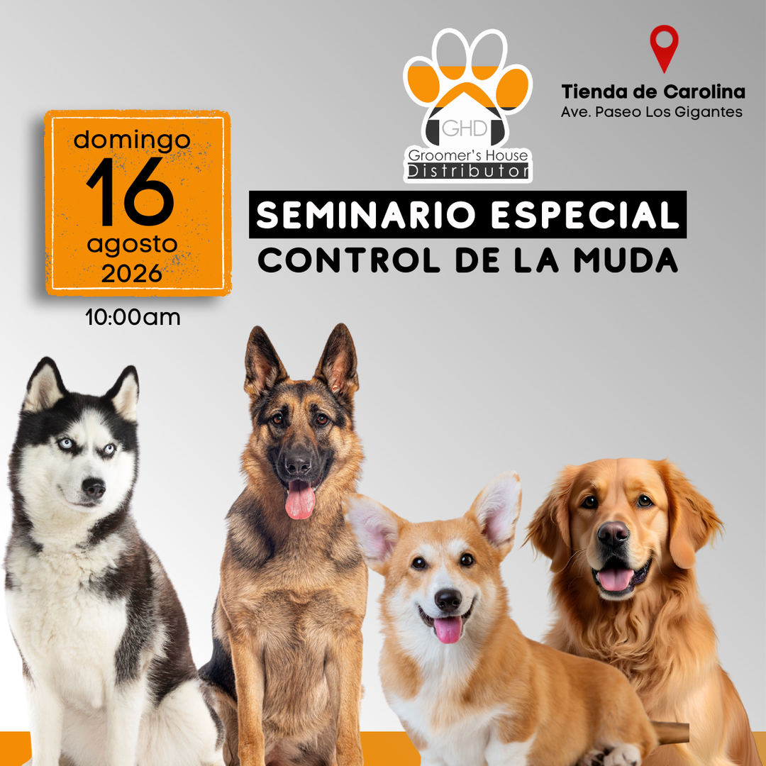 GHD SEMINARIO CONTROL DE LA MUDA