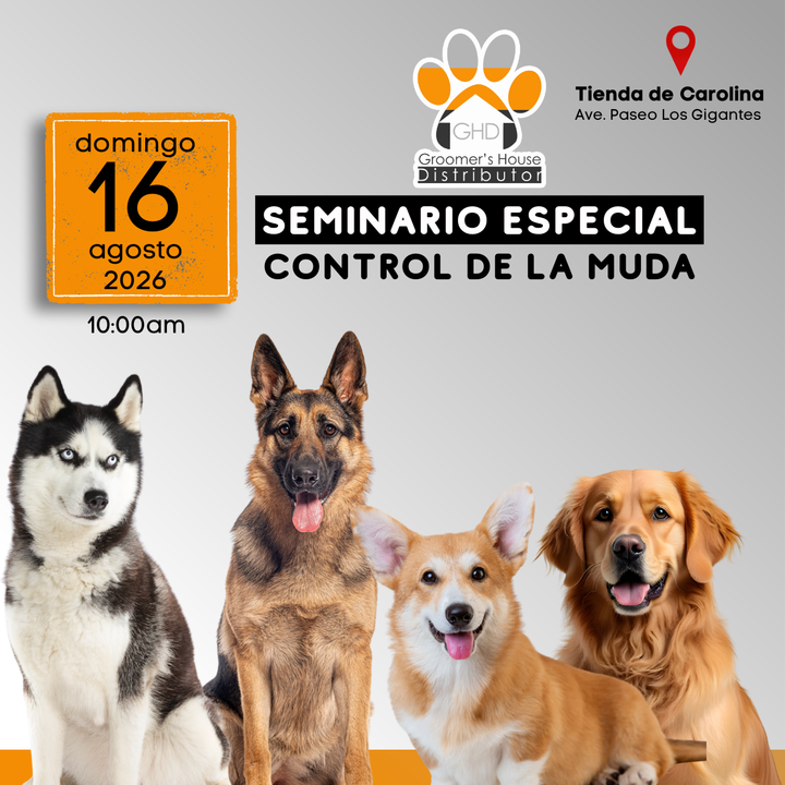 GHD SEMINARIO CONTROL DE LA MUDA