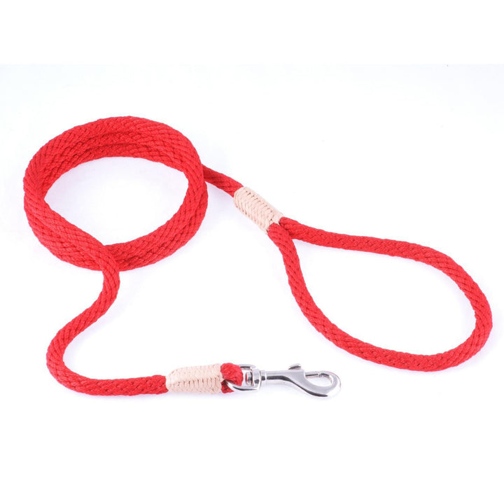 ALVALLEY NYLON SNAP LEAD 4MM X 6'