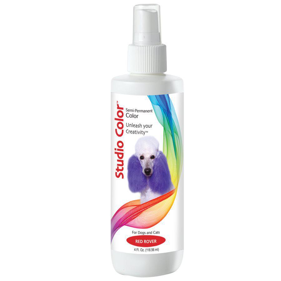 DAVIS STUDIO COLOR SPRAY 4oz