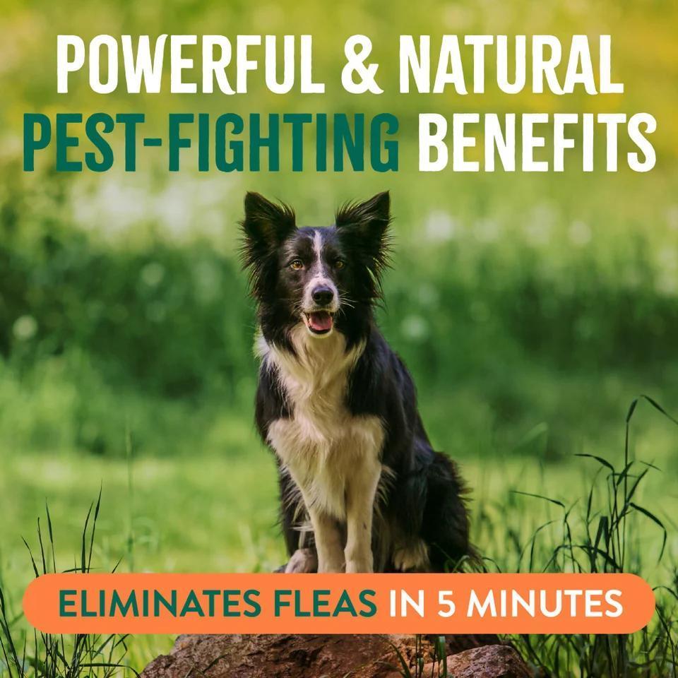 TC NATURAL FLEA + TICK DOG SPRAY 16oz