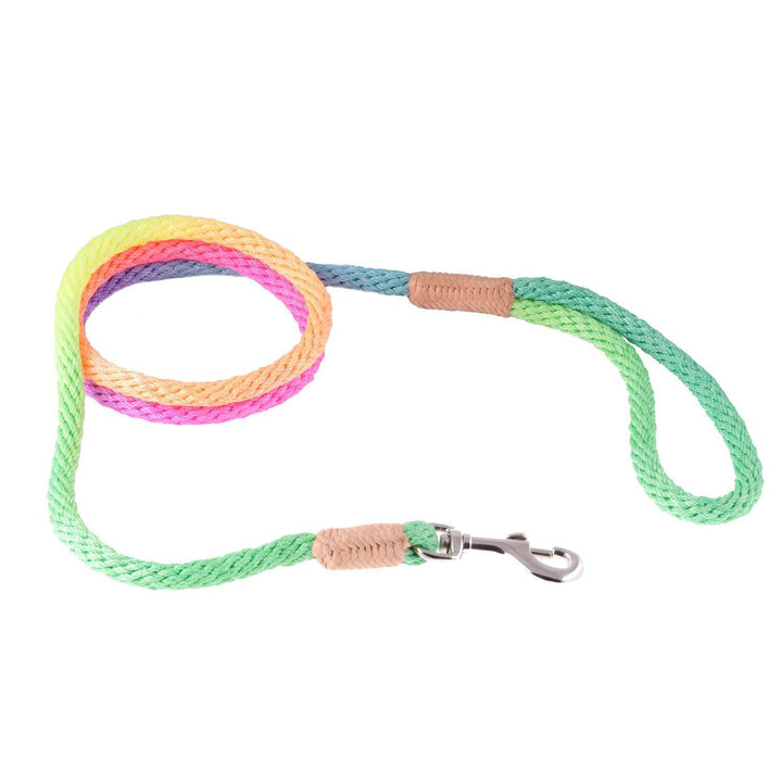 ALVALLEY NYLON SNAP LEAD 4MM X 6'