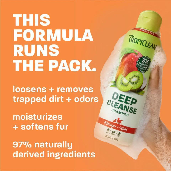 TC MANGO + KIWI DEEP CLEANSING SHAMPOO 20oz
