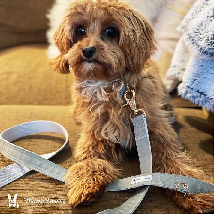 WL FABRIC LEASH GREY 5FT