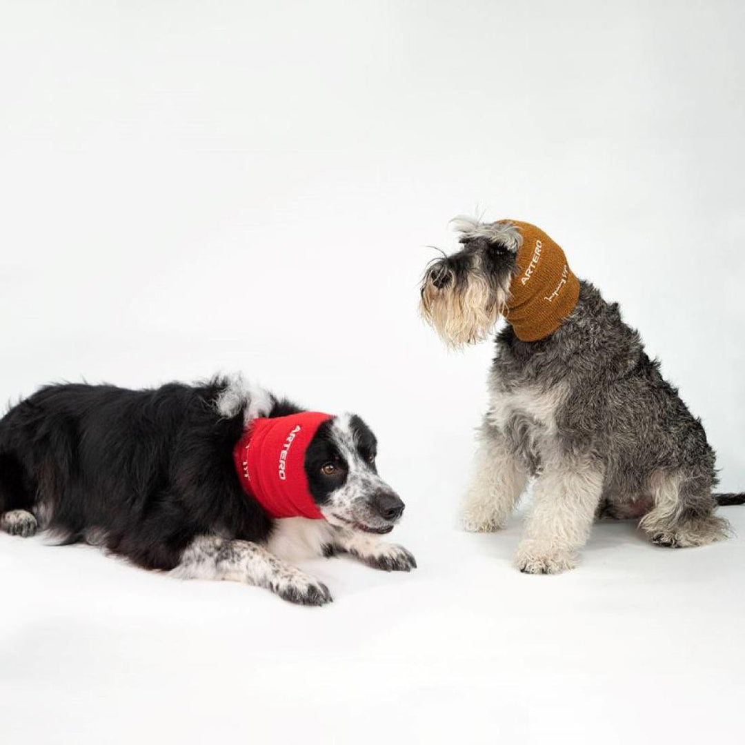 ARTERO FOCUS DRYING EAR MUFFS SET