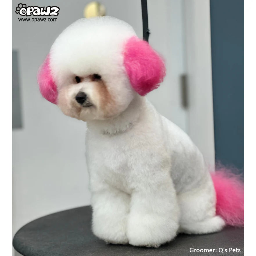 OPAWZ PET HAIR DYE PERMANENT