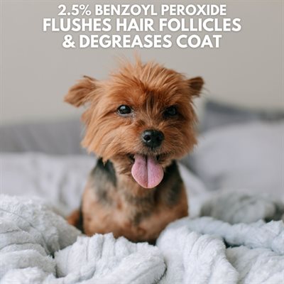 DAVIS BENZOYL PEROXIDE SHAMPOO