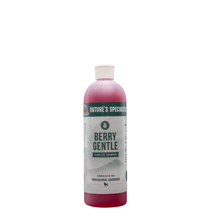 NS BERRY GENTLE SHAMPOO 16:1