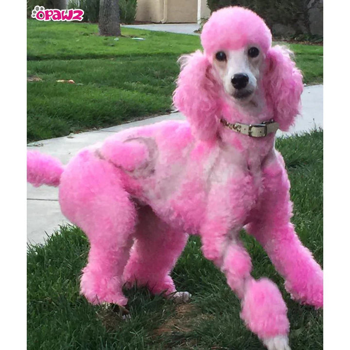 OPAWZ PET HAIR DYE PERMANENT