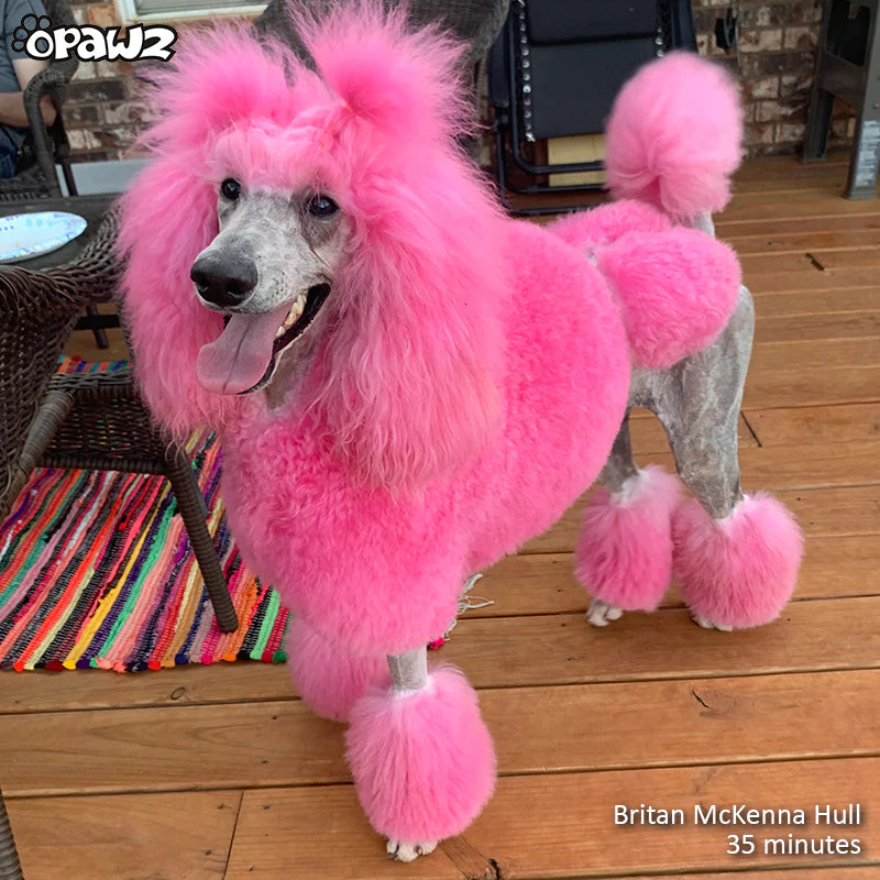 OPAWZ FUNKY COLOR SHAMPOO