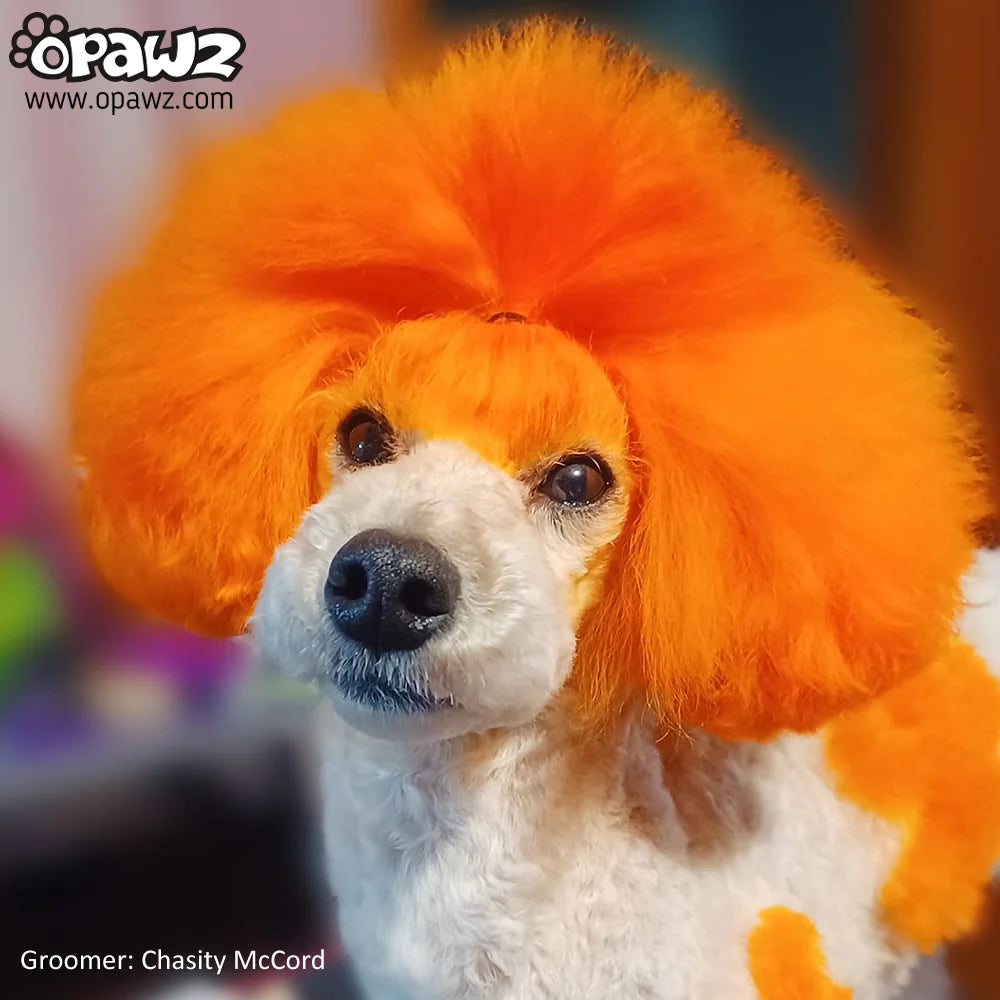 OPAWZ PET HAIR DYE PERMANENT