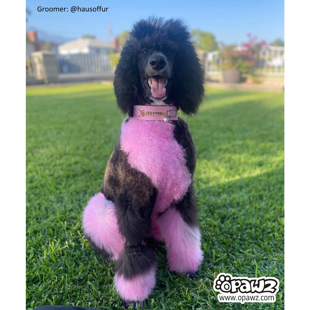 OPAWZ PET HAIR DYE PERMANENT