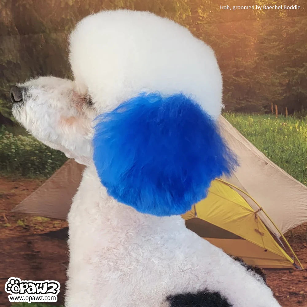 OPAWZ PET HAIR DYE PERMANENT
