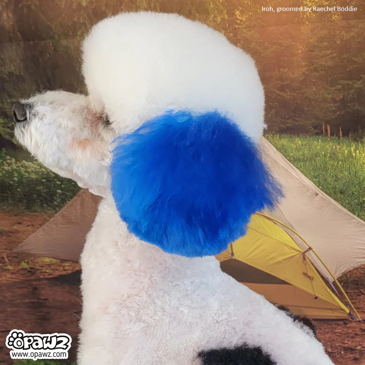 OPAWZ PET HAIR DYE PERMANENT