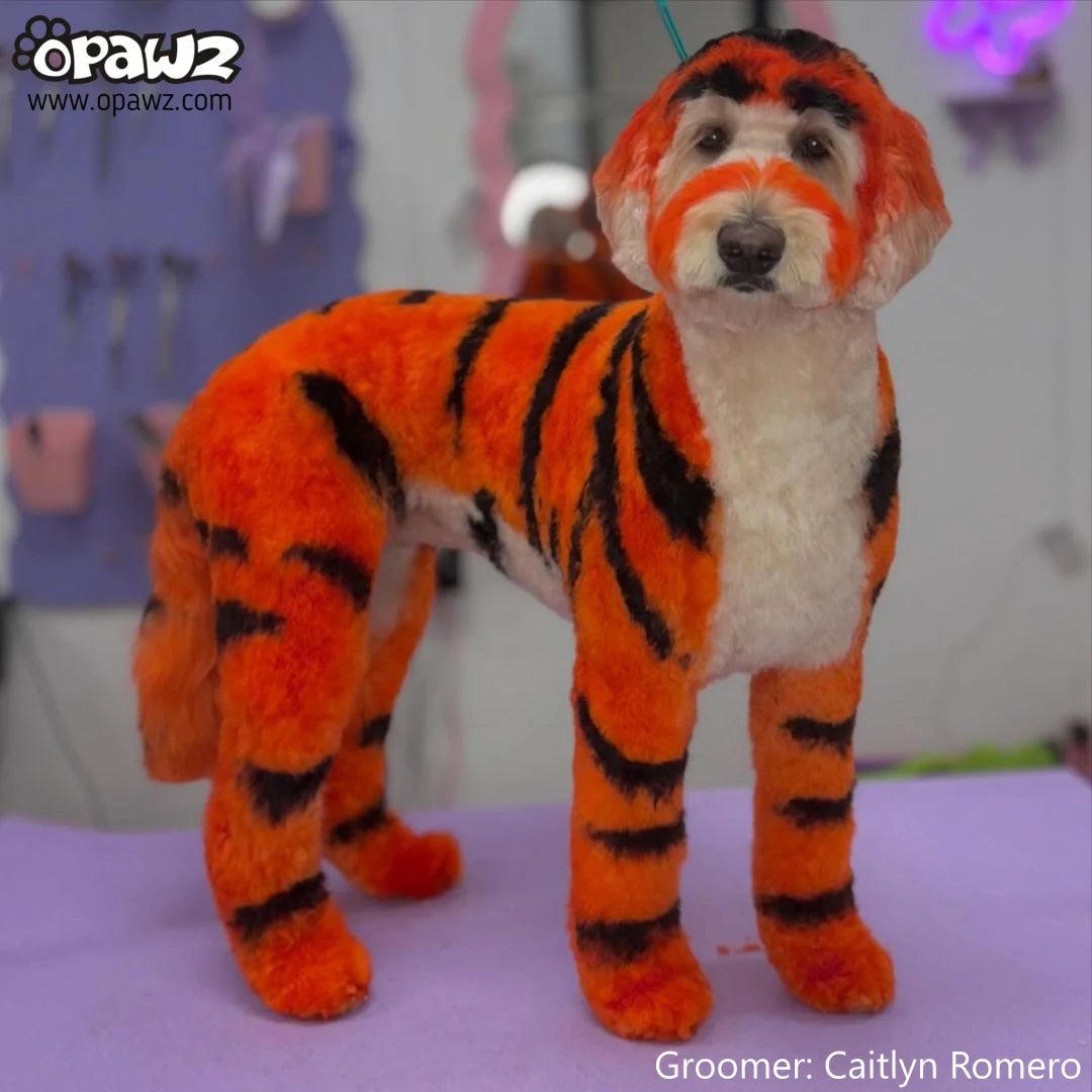 OPAWZ PET HAIR DYE PERMANENT