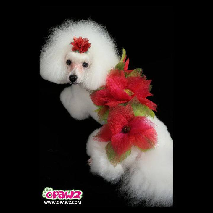 OPAWZ PET HAIR DYE PERMANENT