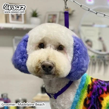 OPAWZ PET HAIR DYE PERMANENT