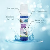 NS SCREAMIN BLUEBERRY WATERLESS FOAM