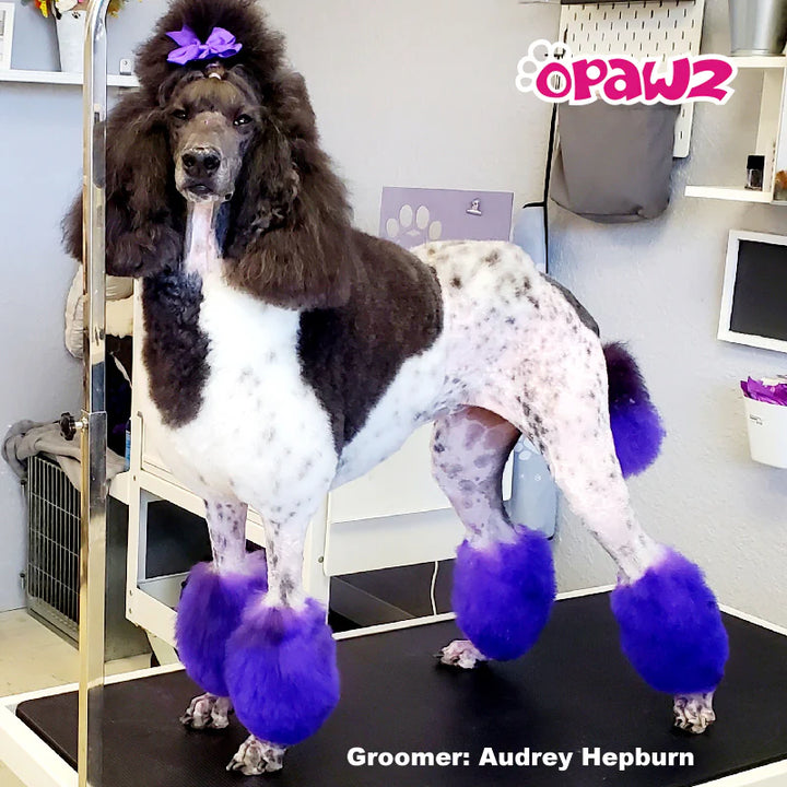 OPAWZ PET HAIR DYE PERMANENT