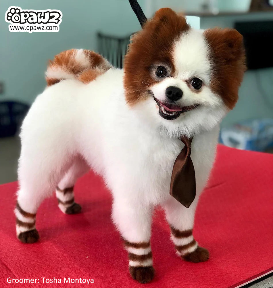 OPAWZ PET HAIR DYE PERMANENT