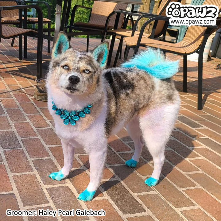 OPAWZ PET HAIR DYE PERMANENT