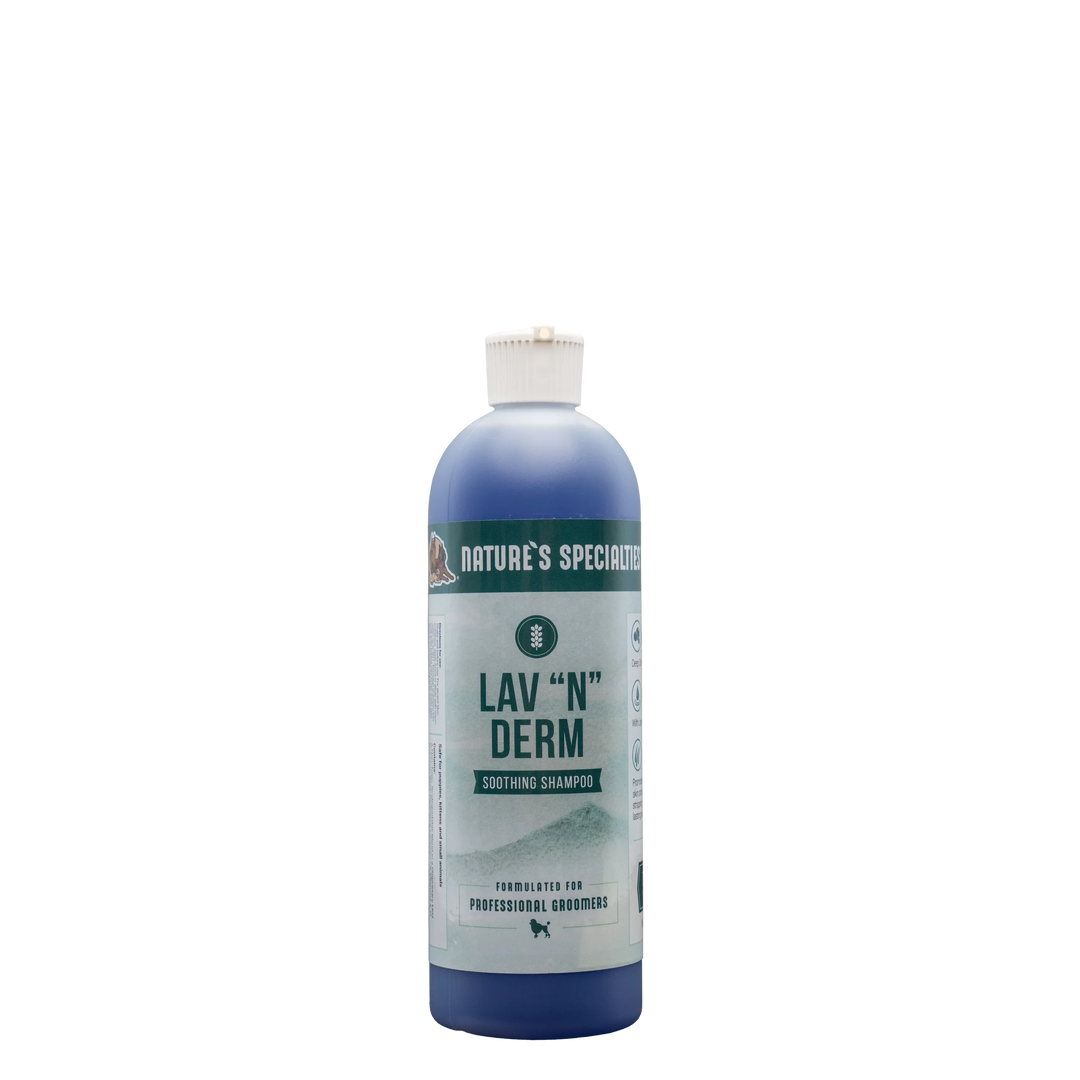 NS LAV N DERM SHAMPOO 50:1