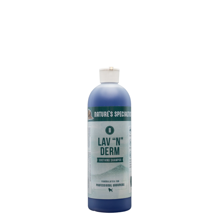 NS LAV N DERM SHAMPOO 50:1