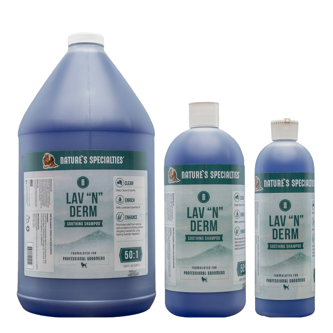 NS LAV N DERM SHAMPOO 50:1