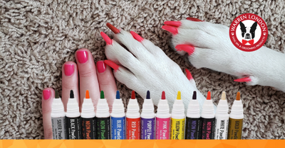 PAWDICURE DOG NAIL POLISH