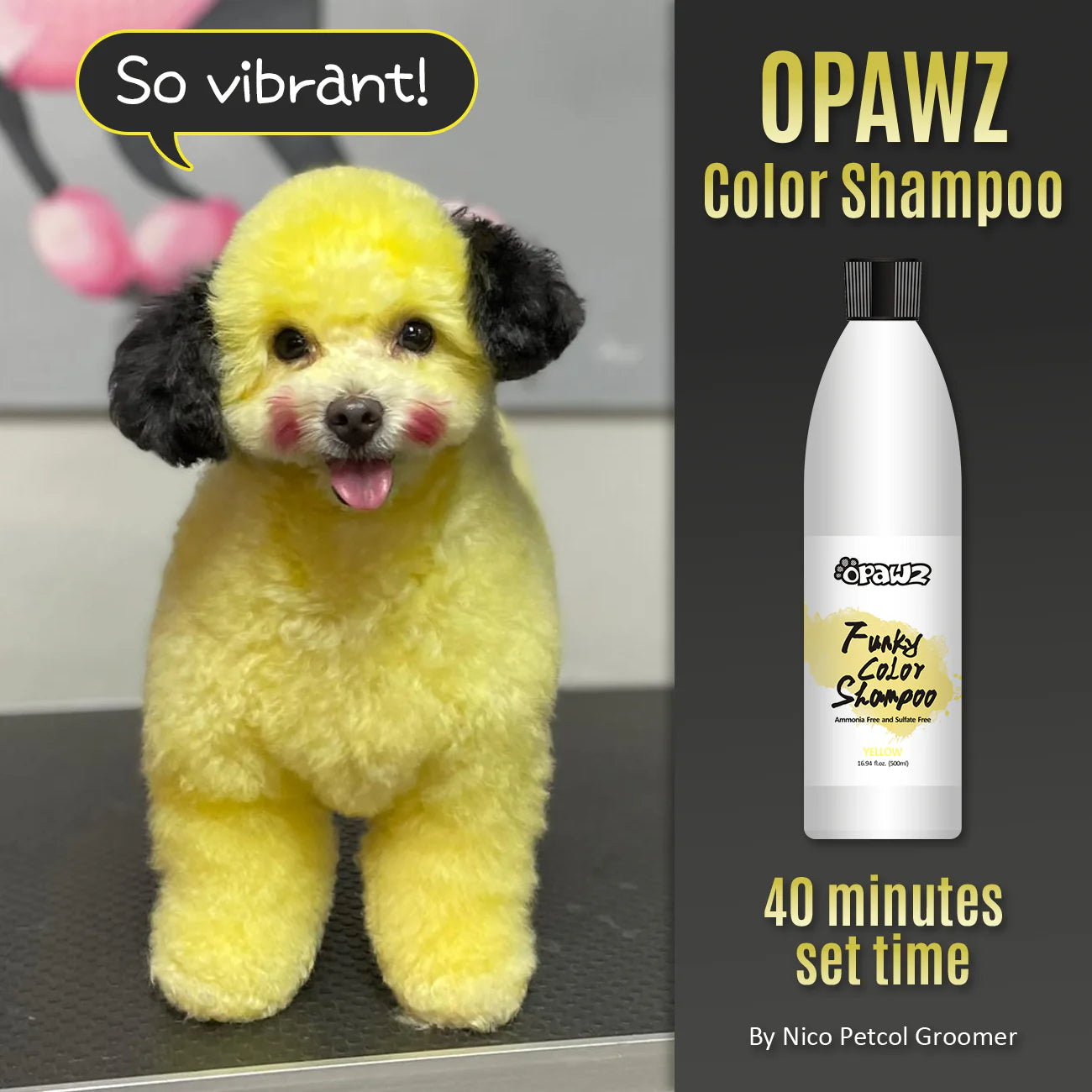 OPAWZ FUNKY COLOR SHAMPOO – Groomer's House Distributor Inc