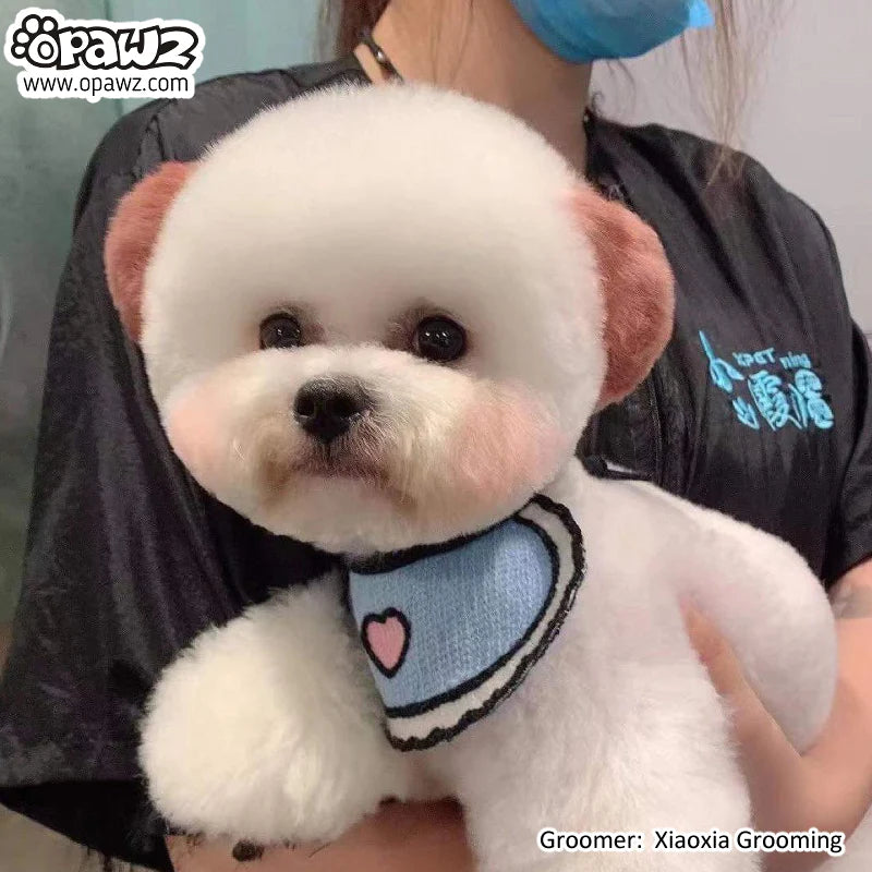 OPAWZ PET HAIR CHALK 4g