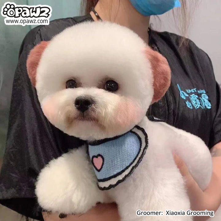 OPAWZ PET HAIR CHALK 4g