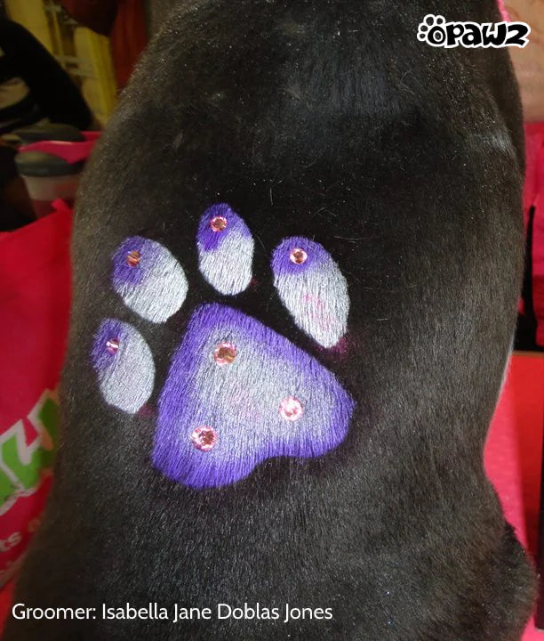 OPAWZ PET HAIR CHALK 4g