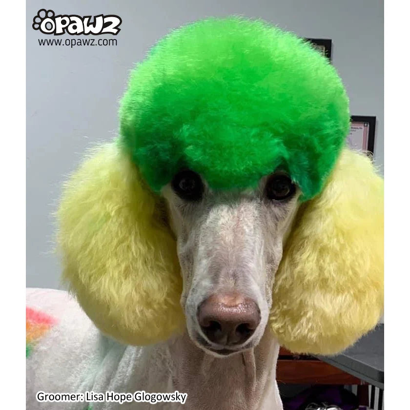 OPAWZ PET HAIR DYE PERMANENT