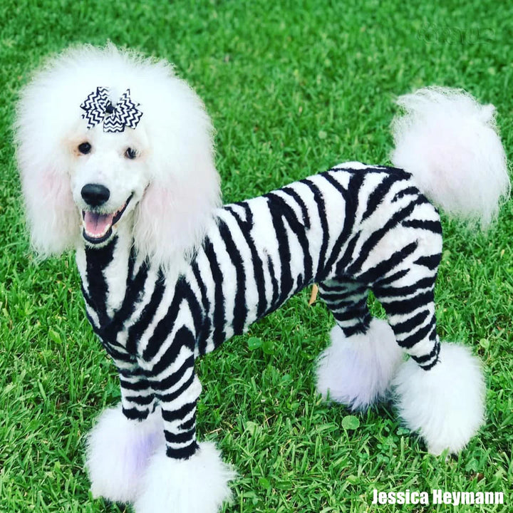OPAWZ PET HAIR DYE PERMANENT