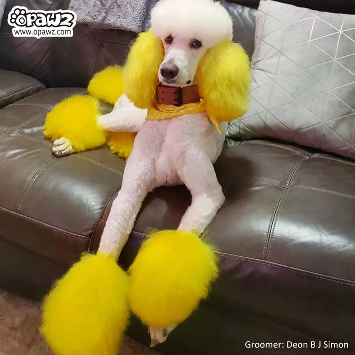 OPAWZ PET HAIR DYE SEMI PERMANENT 5.3oz