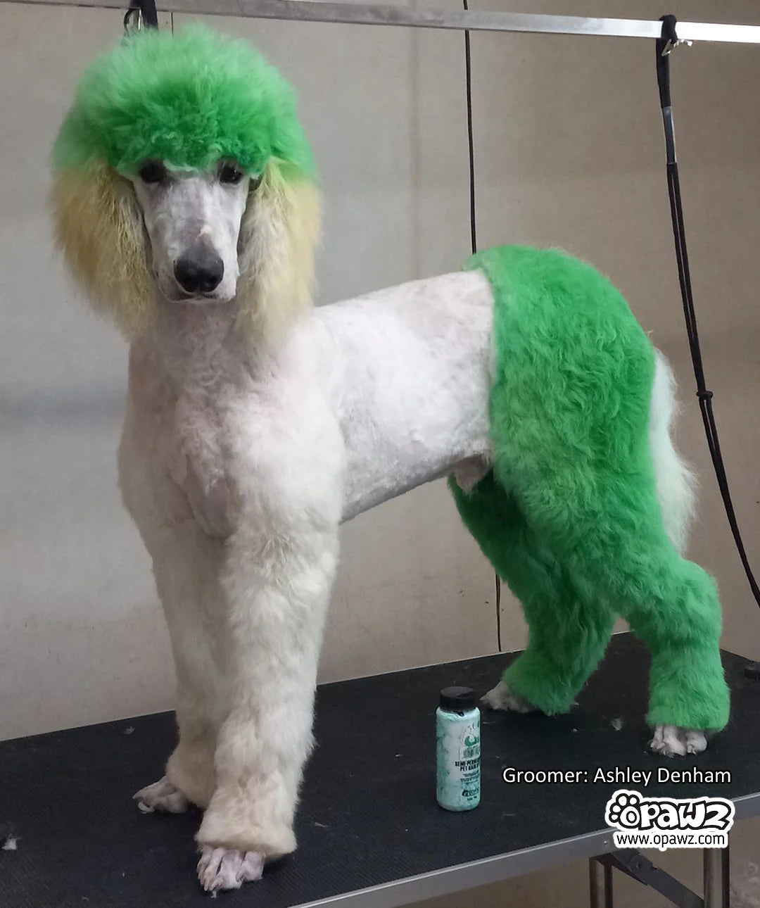 OPAWZ PET HAIR DYE SEMI PERMANENT 5.3oz